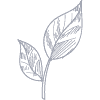 picto-gamme-bio-CG