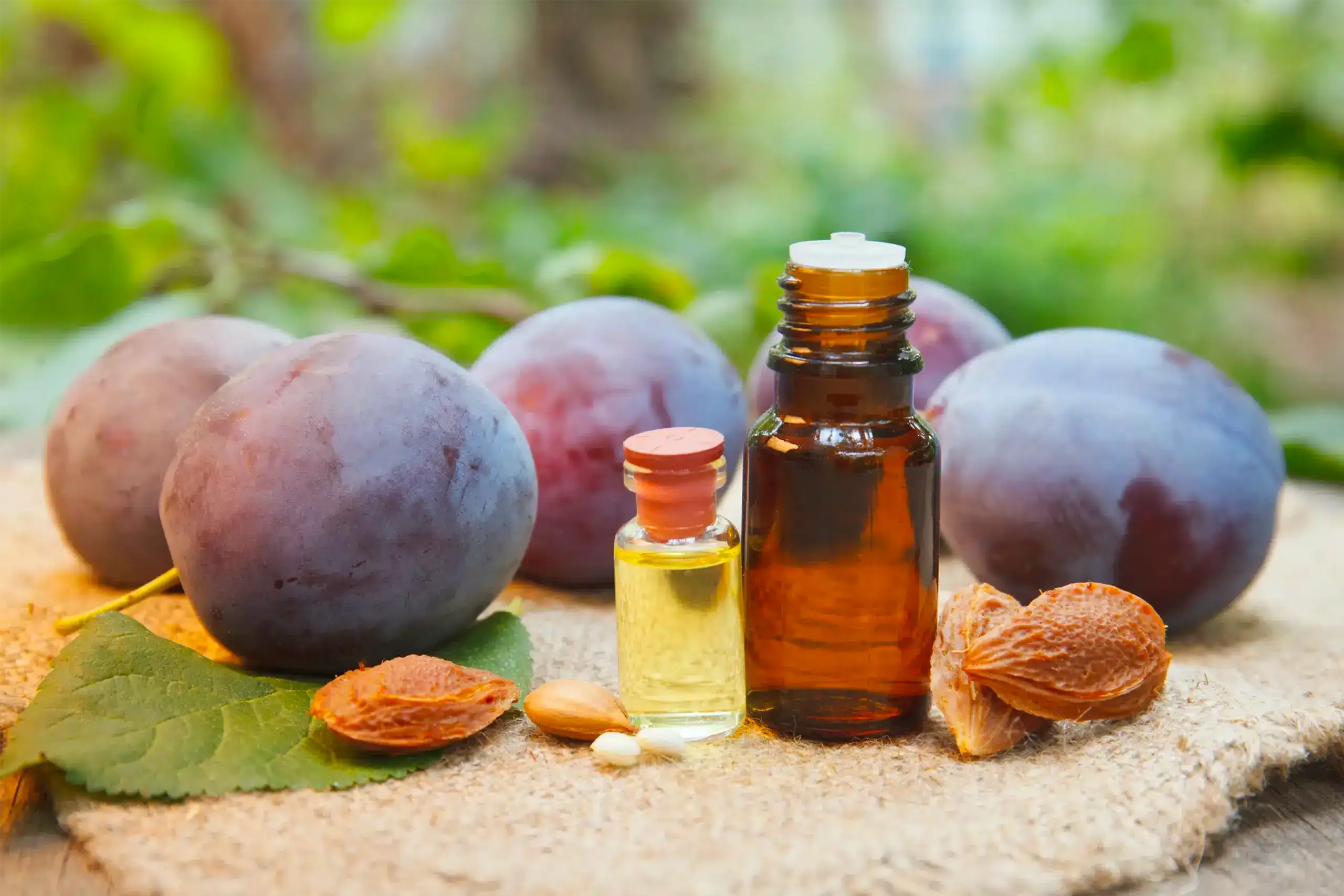 huile de prune dans les produits cosmétiques Camille Gabylore